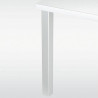 Pied de table carré 60 mm hauteur 870 mm blanc, chromé ou inox