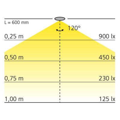 Réglette LED en applique 12V avec interrupteur CANOPY